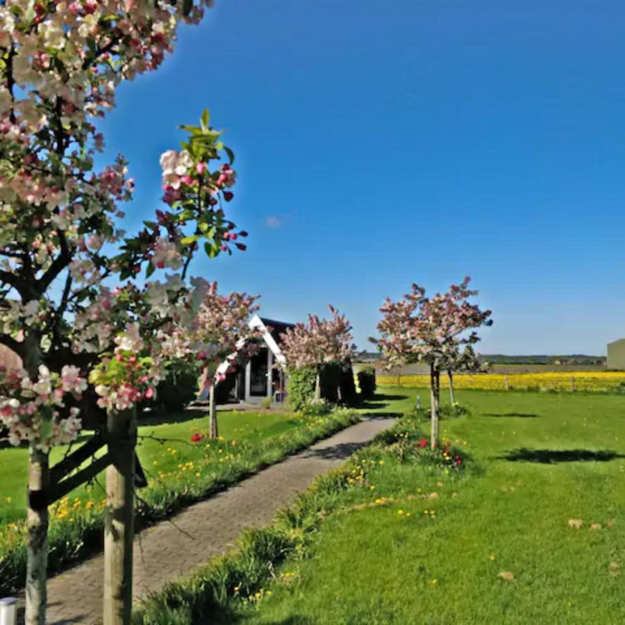 Hotelhuisje Warmenhuizen #B Kültér fotó